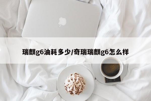 瑞麒g6油耗多少/奇瑞瑞麒g6怎么样
