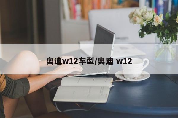 奥迪w12车型/奥迪 w12