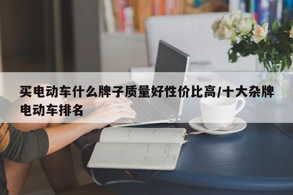买电动车什么牌子质量好性价比高/十大杂牌电动车排名