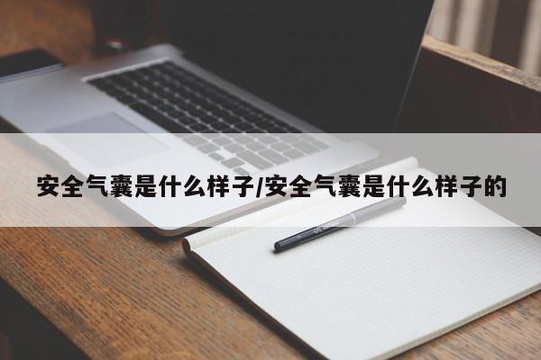 安全气囊是什么样子/安全气囊是什么样子的