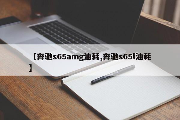 【奔驰s65amg油耗,奔驰s65l油耗】