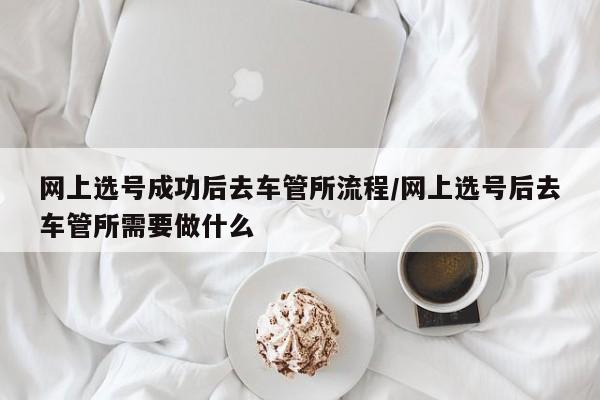 网上选号成功后去车管所流程/网上选号后去车管所需要做什么